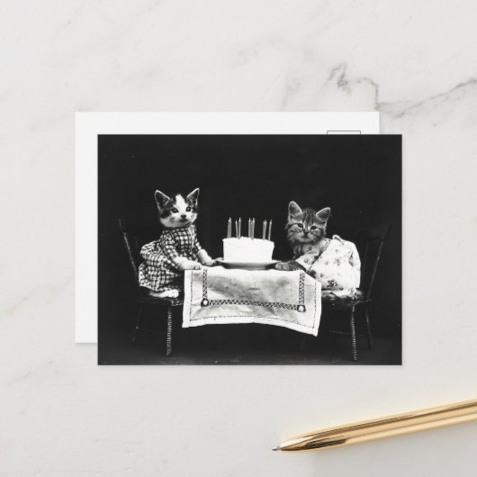 Carte Postale Chats Mignons Gâteau D'anniversaire (Devant/Arrière en situation)