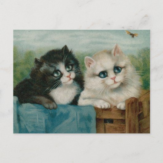 Carte Postale Chats mignons sur la clôture (Devant)