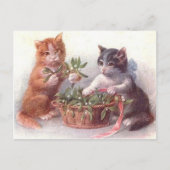 Carte Postale Chats & Mistletoe (Devant)