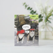 Carte Postale Chats motards amusants (Debout devant)