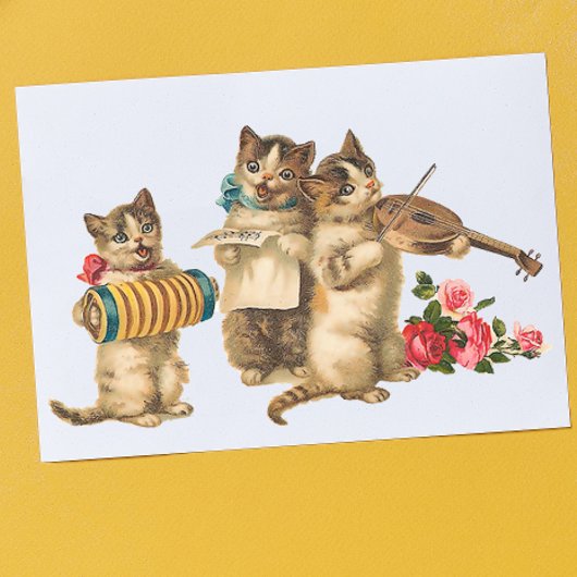 Carte Postale Chats musicaux