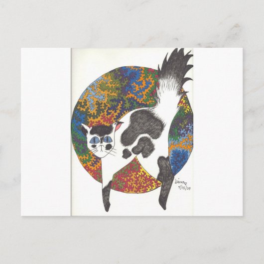 Carte Postale Chats - Noir & Blanc (Devant)