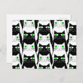Carte Postale Chats noirs et blancs (Devant / Derrière)