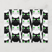 Carte Postale Chats noirs et blancs (Devant)