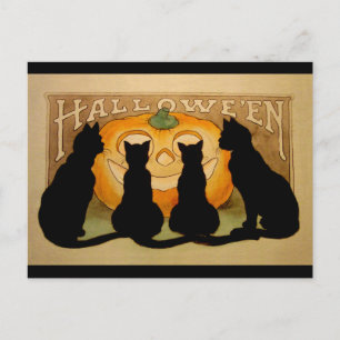 Carte Postale Chats noirs et Jack O'Lantern