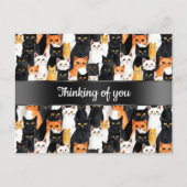 Carte Postale Chats Orange Noir Blanc Penser à vous (Devant)