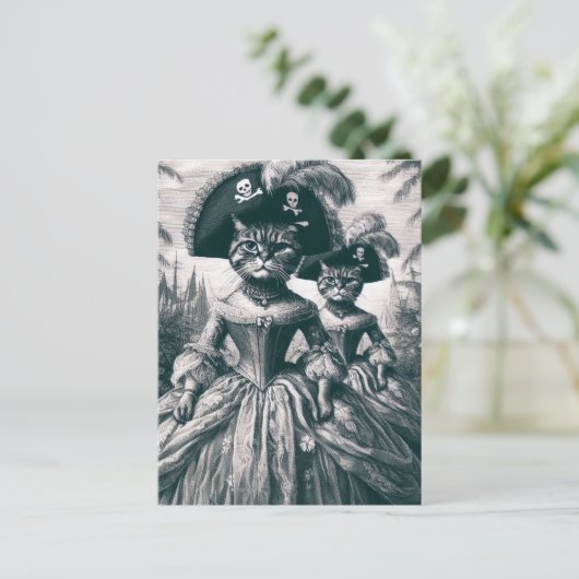 Carte Postale Chats Pirate Cute (Debout devant)