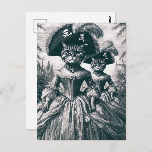 Carte Postale Chats Pirate Cute (Devant / Derrière)