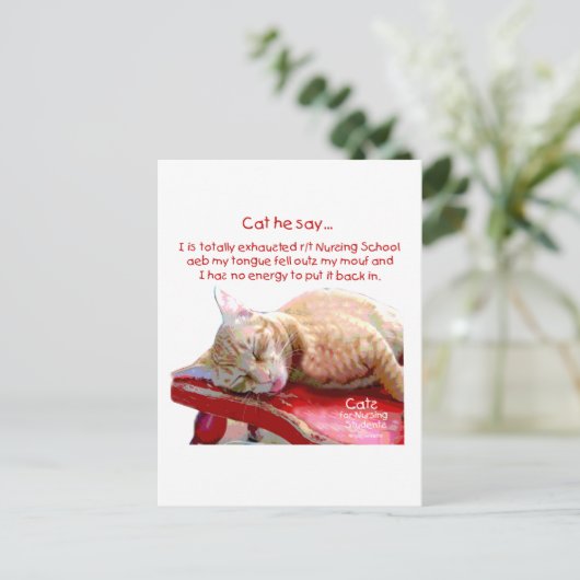 Carte Postale Chats pour étudiants en soins infirmiers - Épuisé (Debout devant)