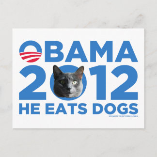 Carte Postale Chats Pour Obama