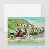 Carte Postale Chats rares de la montagne de Catskill (Devant / Derrière)