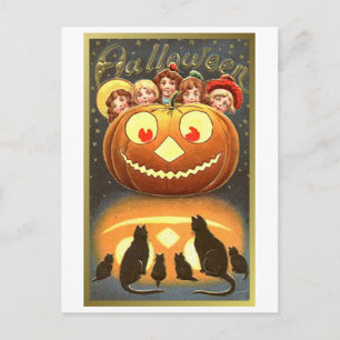 Carte Postale Chats regarder les enfants et Citrouille Halloween