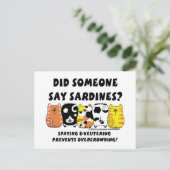 Carte Postale Chats Sardine (Debout devant)