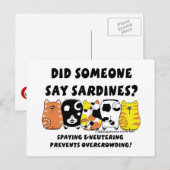Carte Postale Chats Sardine (Devant / Derrière)
