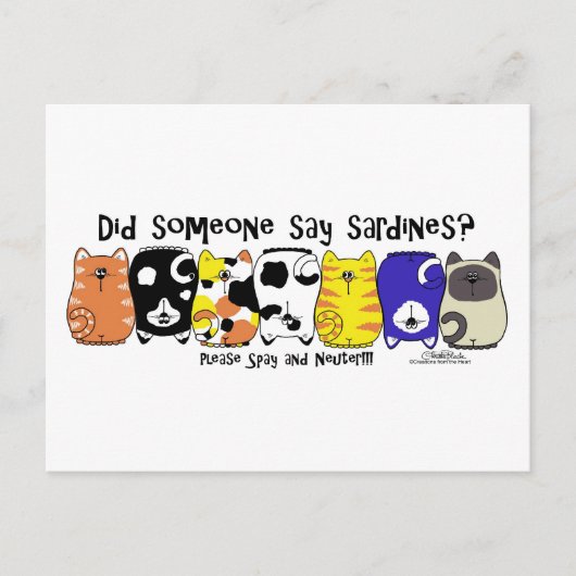 Carte Postale Chats Sardine (Devant)