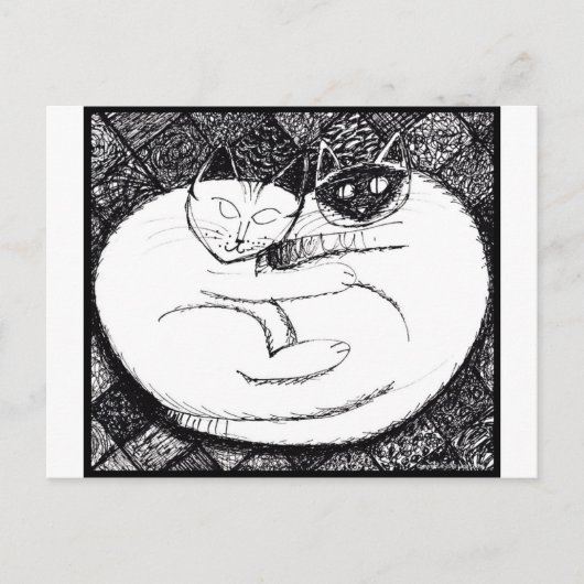 Carte Postale Chats spectaculaires 3 (Devant)