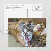 Carte Postale Chats sur canapé (Devant / Derrière)