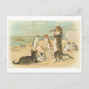 Carte Postale "Chats sur la plage" Vintage