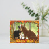 Carte Postale Chats Tabby Orange d'automne (Debout devant)