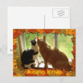 Carte Postale Chats Tabby Orange d'automne (Devant / Derrière)