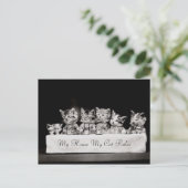 Carte Postale Chats Thé Vintage habillé (Debout devant)