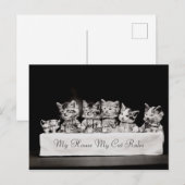 Carte Postale Chats Thé Vintage habillé (Devant / Derrière)