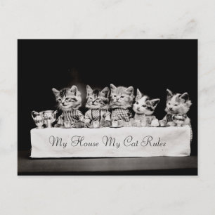 Carte Postale Chats Thé Vintage habillé