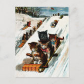 Carte Postale Chats Toboggan vintages (Devant)
