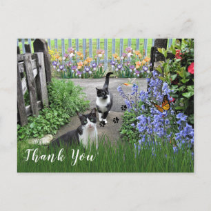Carte Postale Chats Tuxedo Noir et Blanc dans un Jardin Merci