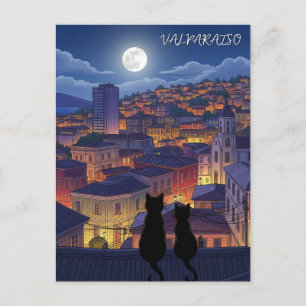 Carte Postale Chats Valparaiso Chili la nuit