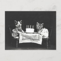 Chats Vintage à une Fête d'Anniversaire