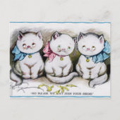 Carte Postale Chats vintages (Devant)