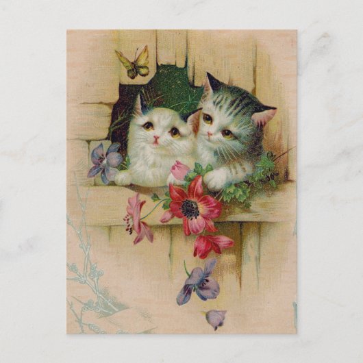 Carte postale Chats vintages (Devant)