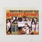 Carte postale Chats vintages (Devant / Derrière)