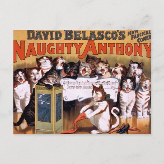 Carte postale Chats vintages (Devant)