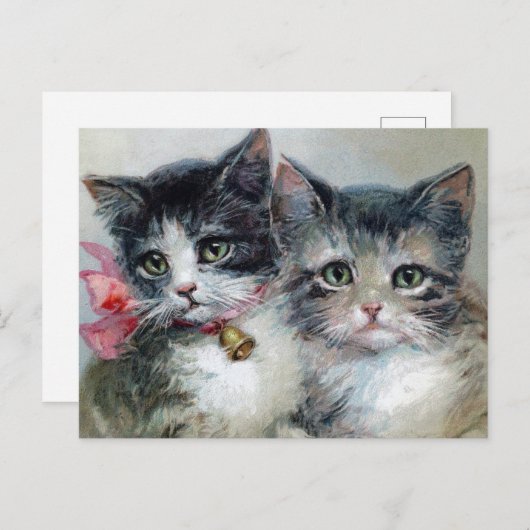 Carte postale Chats vintages (Devant / Derrière)