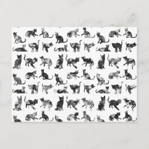 Carte Postale Chats vintages à fleurs noir et blanc motif