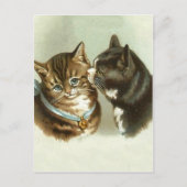 Carte Postale Chats Vintages mignons (Devant)