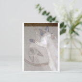 Carte Postale Chats volants (Debout devant)