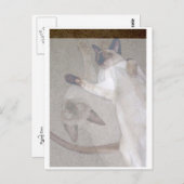 Carte Postale Chats volants (Devant / Derrière)