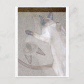 Carte Postale Chats volants (Devant)