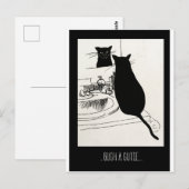 Carte Postale chatte (Devant / Derrière)