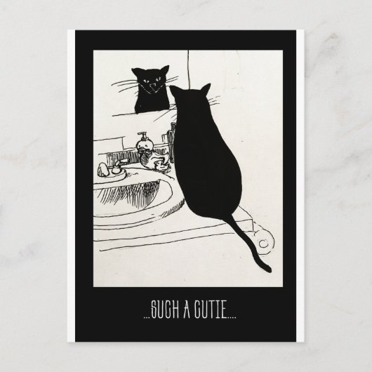 Carte Postale chatte (Devant)