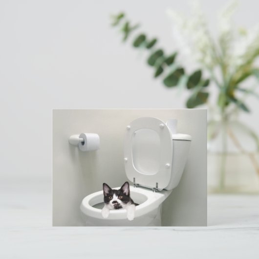 Carte Postale Chatte-chat dans un bol de toilettes (Debout devant)