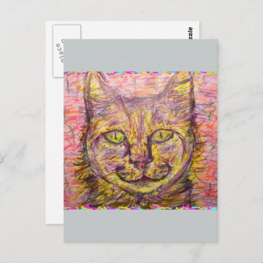 Carte Postale chatte ensoleillé, mec (Devant / Derrière)