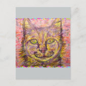 Carte Postale chatte ensoleillé, mec (Devant)