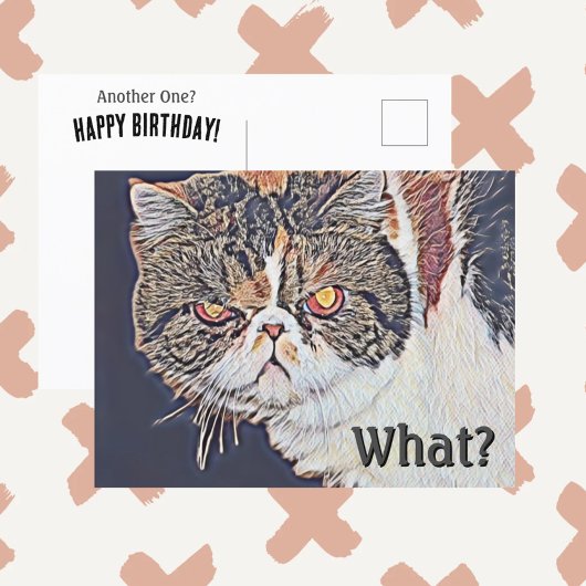 Carte Postale Chatte Grincheuse Drôle Anniversaire