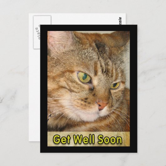 Carte Postale chatte va bien bientôt (Devant / Derrière)
