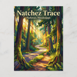 Carte Postale Chaussée Natchez Trace Mississippi
