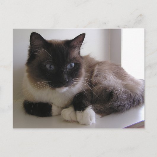 Carte Postale Chaussure à neige (Devant)